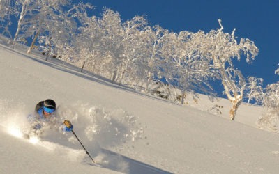 Education Through Experience Powder Tour in Japan