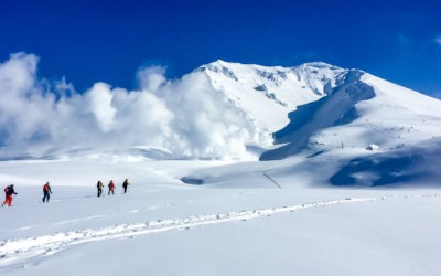 Tips for Powder Skiing in Japan