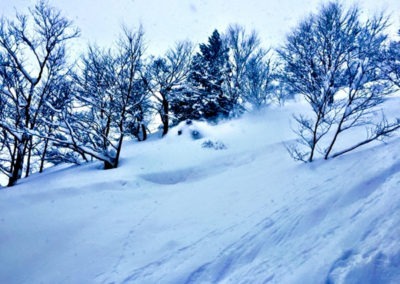 Japanuary in Japan. Yes, it gets that deep! Can You Spot the Skier