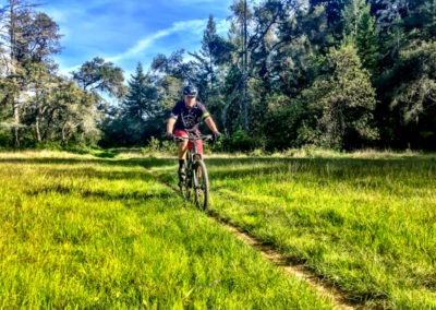 Santa Cruz Mountain Bike Tour - Le Grand Adventure Tours