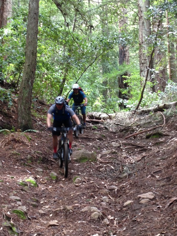 Santa Cruz Mountain Bike Tour